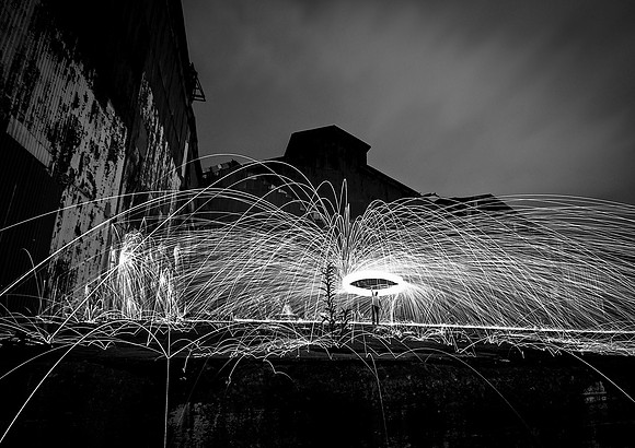 Branch BW