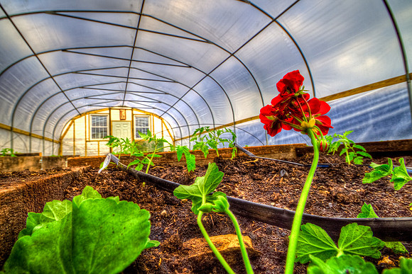Wheeling Greenhouse