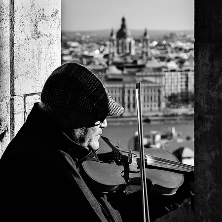 Violin-Player
