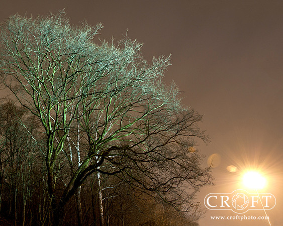 Night Light