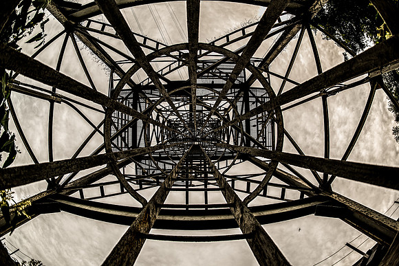 Looking Up