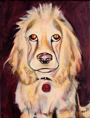 Bud - 16"x20",2012