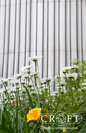 Veritcal Flower